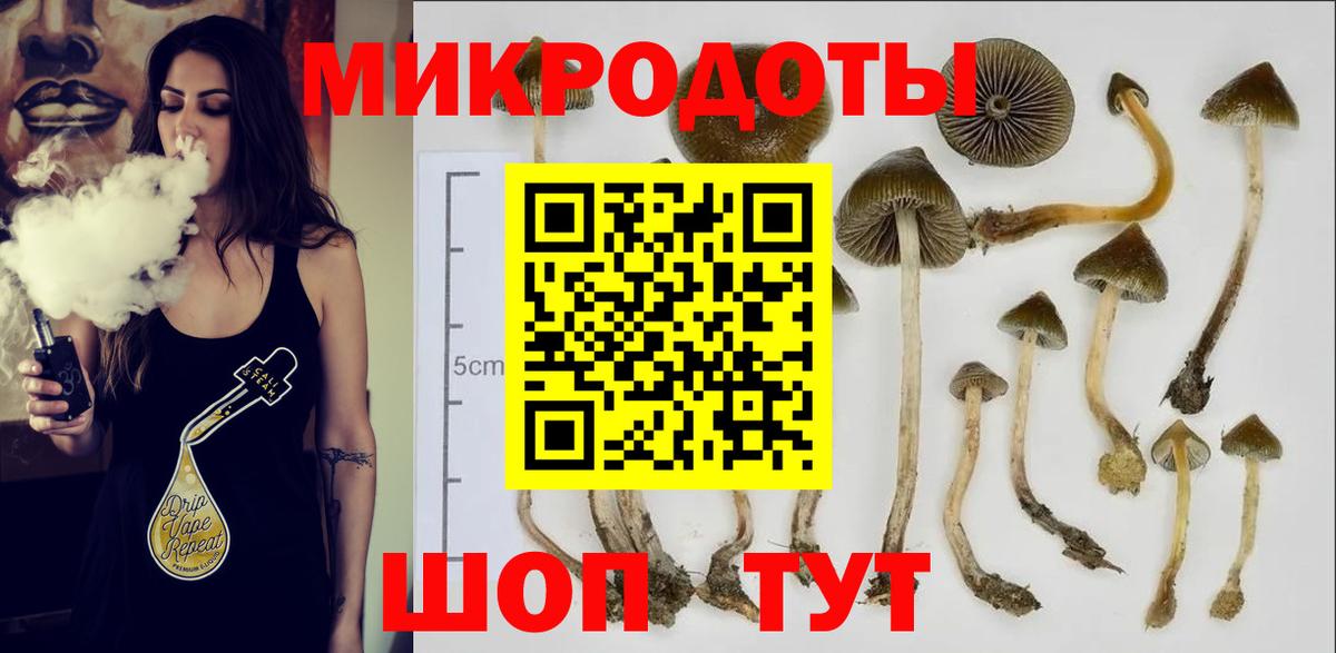 Псилоцибиновые грибы ЛСД Нижний Новгород